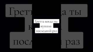 Когда ты кушала последний раз 😂 #собака #смех #юмор #веселоенастроение #веселье #funnyvideo #dog