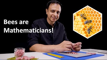 The Hidden Math Of Honeycombs 🐝