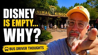 Información Why Is Disney World So Empty This Summer Guía