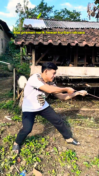 Mas preman narik hewan kurban raksasa #shorts #comedy #bocilwargads #maspreman