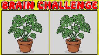 【Spot the difference】👀Improve your concentration to find the difference!!
