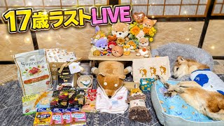 【17歳ラストLIVE】17歳想い出の動画を一緒に振り返ろうワン！ (2026/04/24)