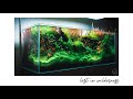 1-Hour Relaxation with Nature Aquarium Planted Tank | 4K Cinematic