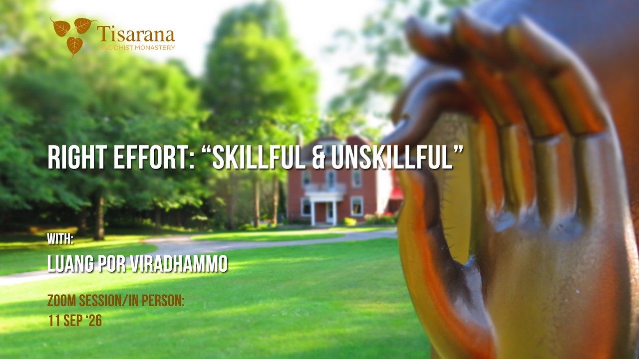 Right effort: "Skillful & unskillful" | Luang Por Viradhammo  | 11 Sep '26
