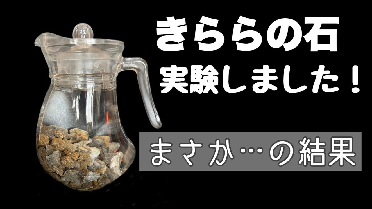 きららの石」の効果はホント？水で実験♪早く沸くの？干し椎茸は早く