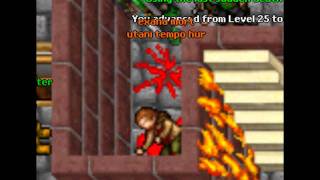 Amnezja Reload on Noobwar