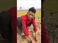 মা*ল খোর বন্দু🥸🤣 #comedy #bangalafun #comedyfilms #funny #comedymovies #memes #fmspuadofficil