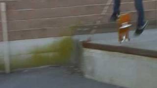 tre flip monster golf loading dock