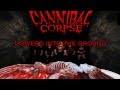 Cannibal Corpse - Festering in the Crypt [Lyric Video/Lyrics on screen]