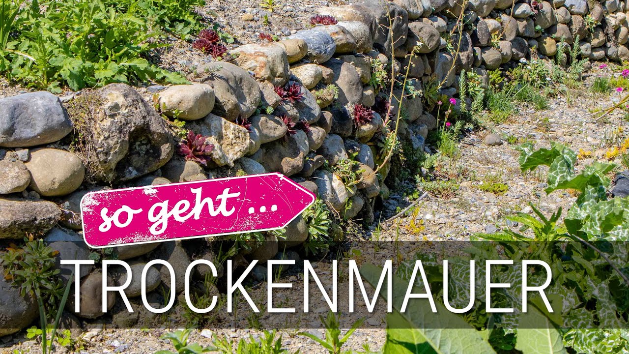 Trockenmauer mit Unterschlupf