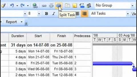 Working with Split Task