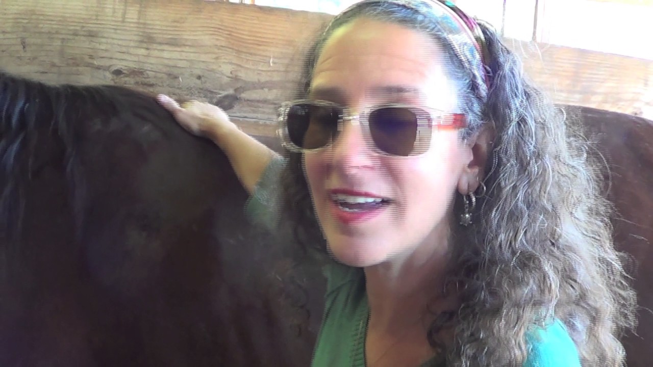 Reiki with horses at Equestrian Inc.