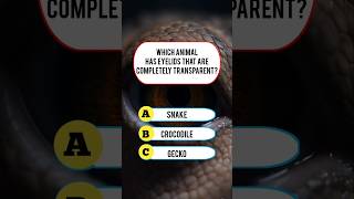 Which Animal? 🤔 #usaquiz #quiz #triviatricks #usafacts #trivia #mindbendingquiz #funquiz #facts #gk