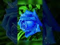 إلهي واسع الكرم ورب البيت والحرم