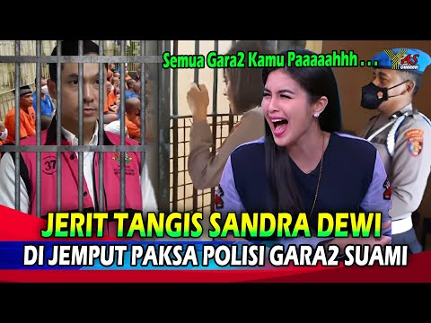 lSAK TANGlS SANDRA DEWI PECAH SAAT MELIHAT SANG SUAMI TERCINTA BEGINI