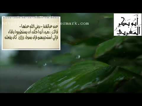 شرح سنن الترمذي في دقيقة الحديث 19 