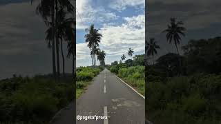 “Some paths can’t be found — only felt 💭🌾”#RoadTripVibes #ytshorts