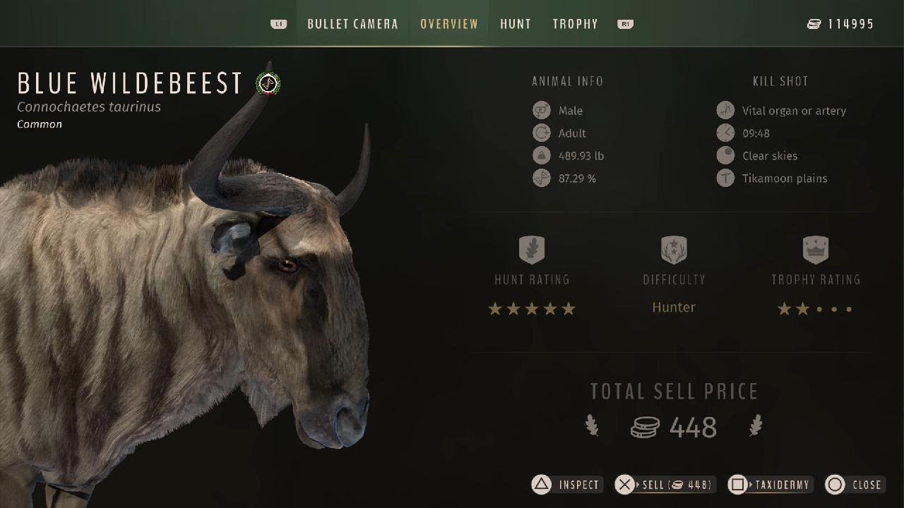 🇿🇦 Blue Wildebeest hunt with 300 PRC 215 grain polymer tipped hollow point bullets 