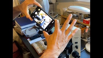 Smart Phone Photography with A Microscope