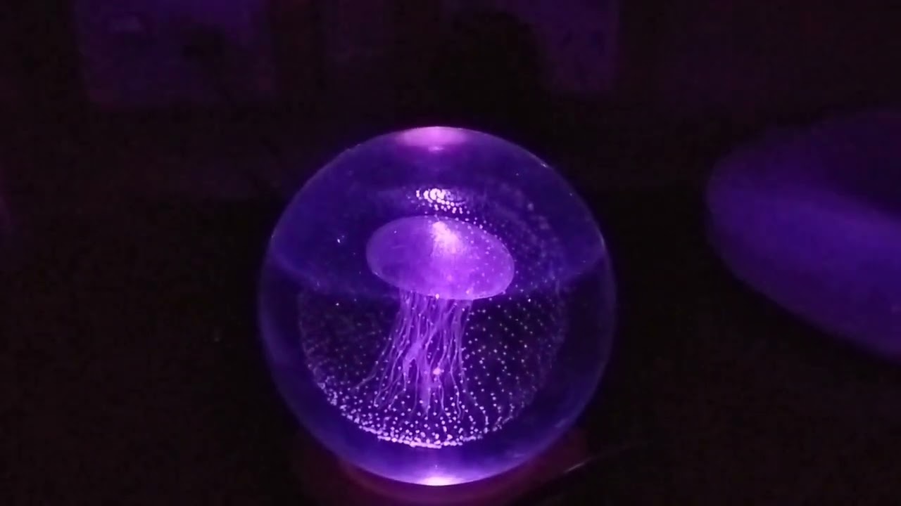 Jelly fish lamp