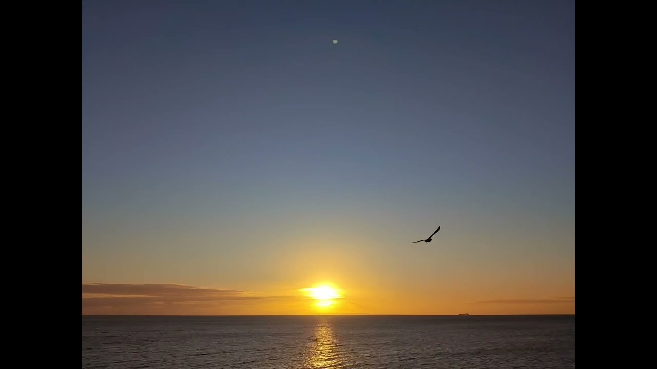 Royal Beach Sunset Mining