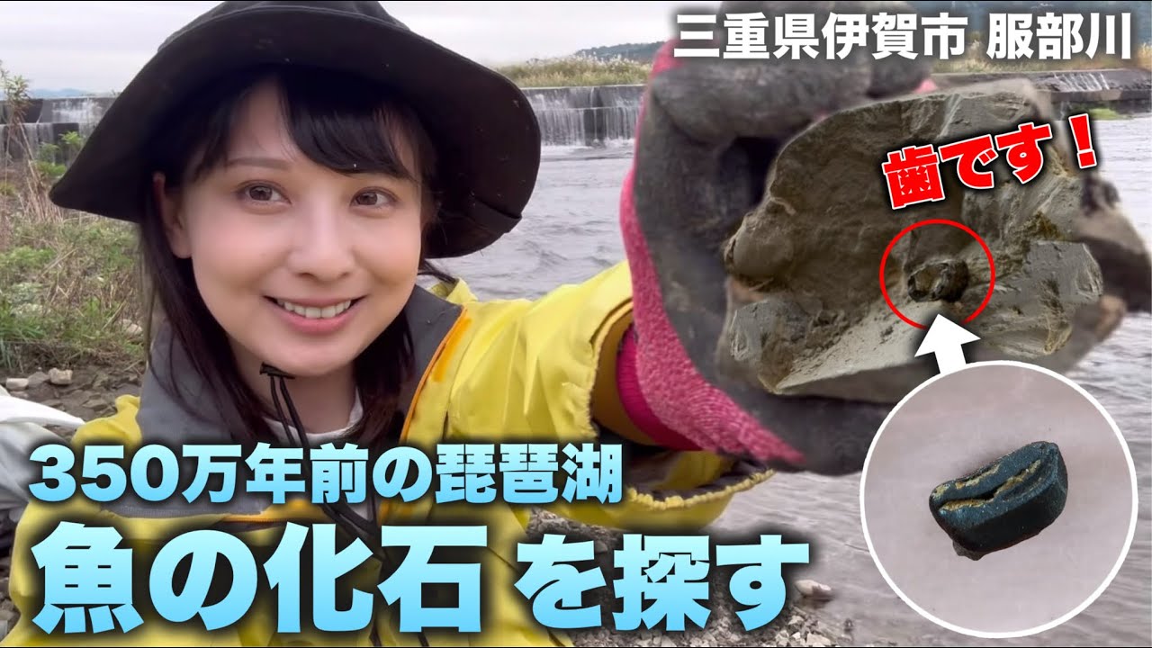 魚の化石 K-3 魚の化石 K-3 魚の化石 K-3 魚の化石 K-3の通販はau PAY マーケット