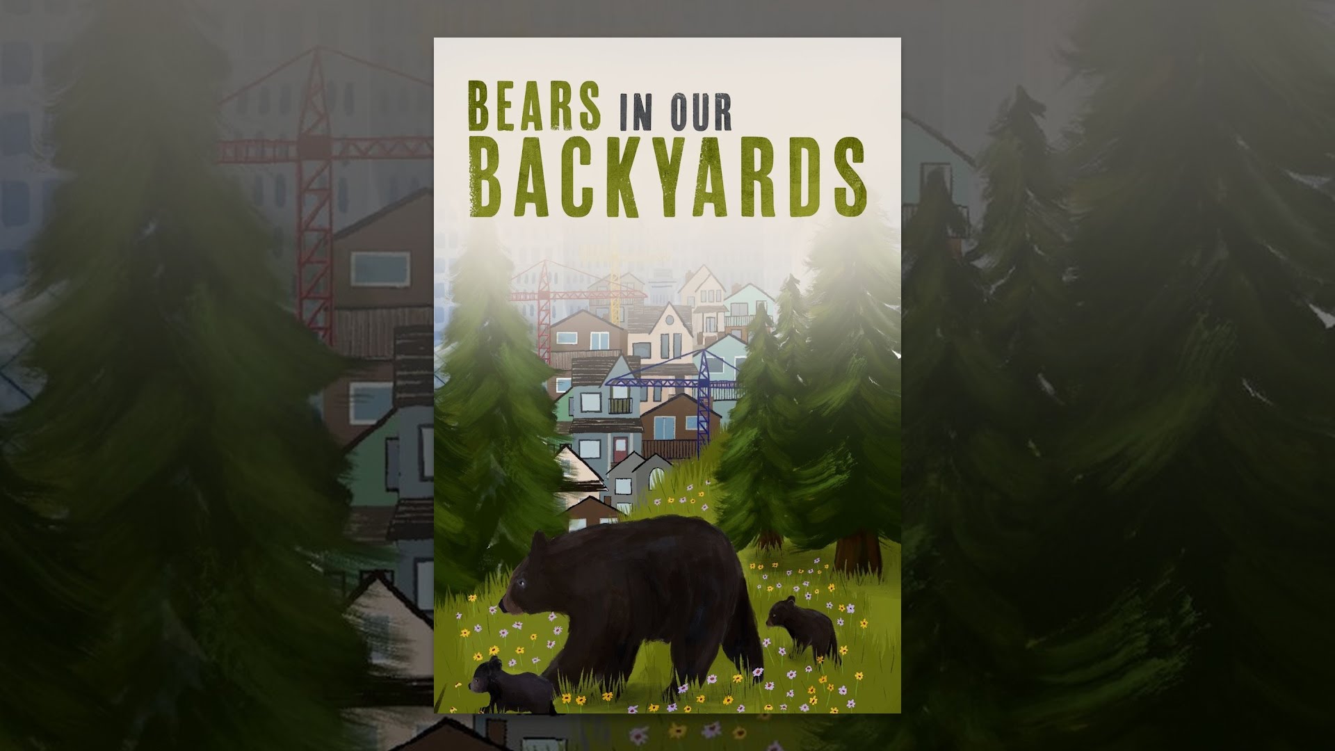 Bears in our Backyards