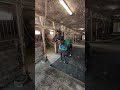sound on! Lil Guy calling friends, enjoying his days off. #horseracing #horse #harnessracing