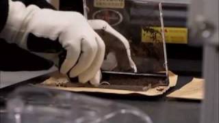 Real Crime The Tesco Bomber Part 2