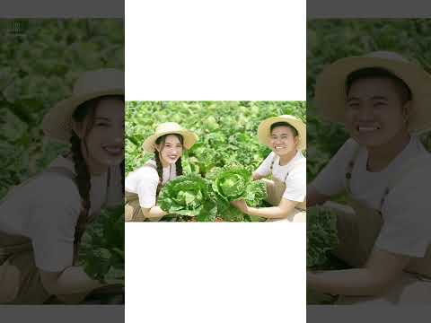 Video CHỤP ẢNH CƯỚI CONCEPT VƯỜN BẮP CẢI - youtube