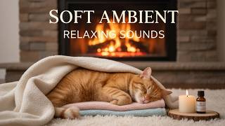 Overthinking After Midnight Real Cat Purring π» Soft Comfort Audio for Peaceful Sleep
