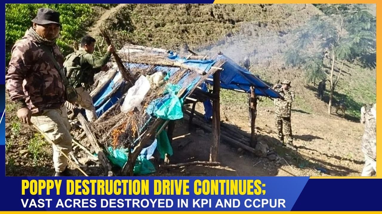 POPPY DESTRUCTION DRIVE CONTINUES; VAST ACRES DESTROYED IN KPI AND CCPUR    | 17 JAN 2026
