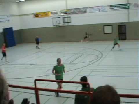Handball-Zicken 081109