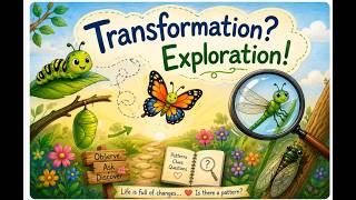 Transformation Exploration