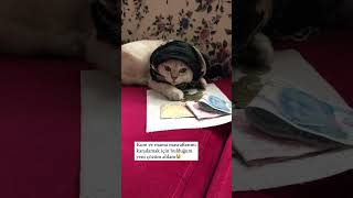 Tuttuğun Altın Olsun Ablam Bi Liran Varmı 😂😂