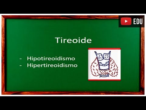Vídeo: Hipotireoidismo Versus Hipertireoidismo: Qual A Diferença?
