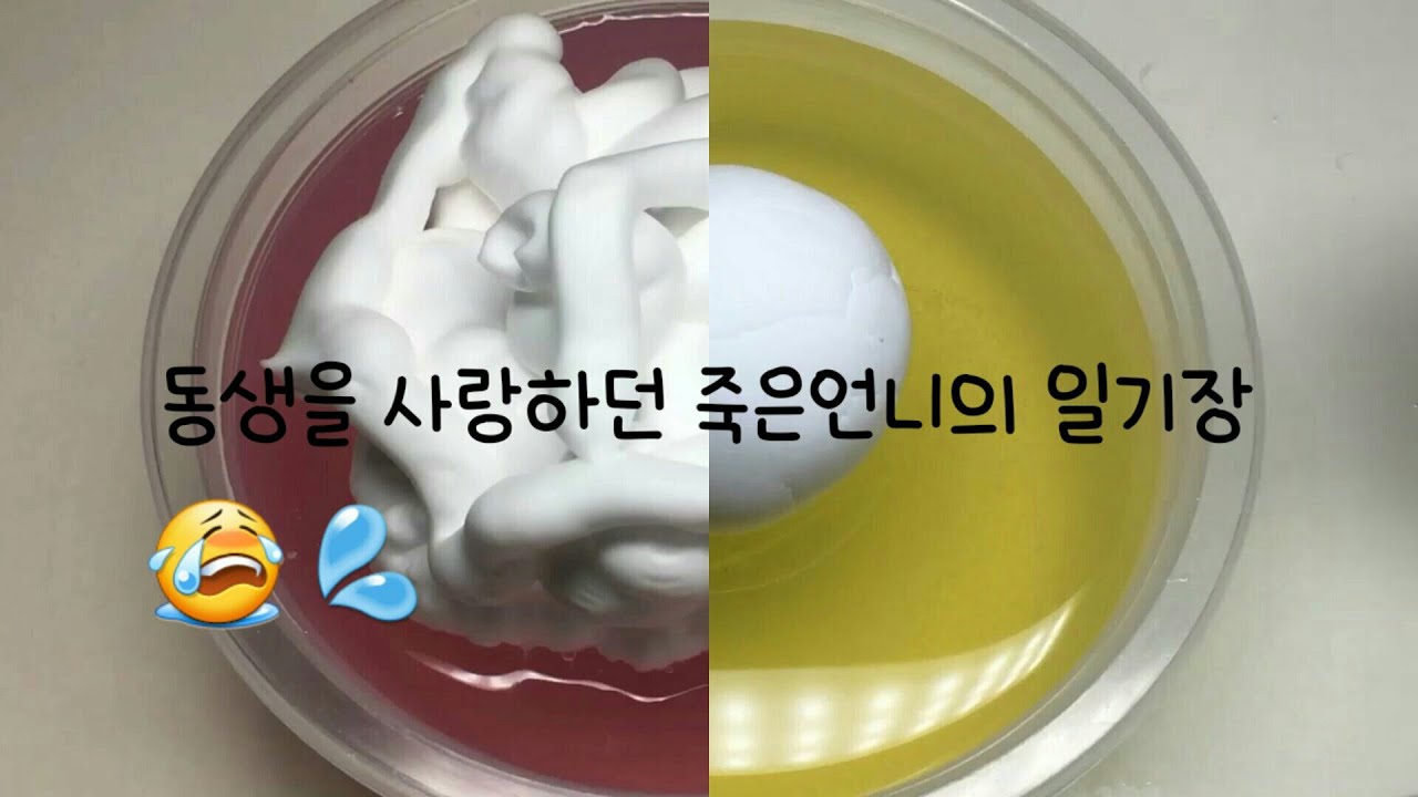 동생을 사랑하던 죽은언니의 일기장 /뿌요님 오르골/윤하/수린님 영상