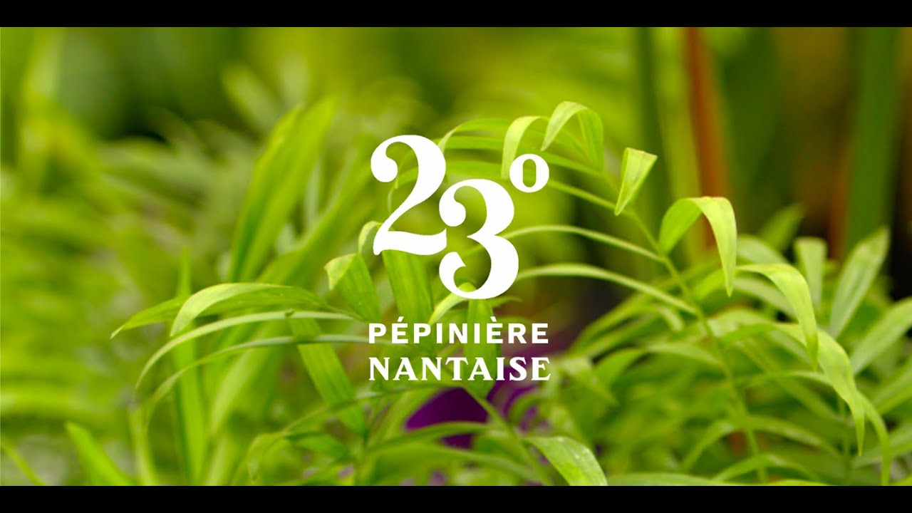 23 La P pini re Nantaise YouTube 23-la-p-pini-re-nantaise-youtube