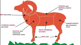 🔪🐏 Прибыльная разделка баранины. meat cutting, meat, butcher, 肉,切肉,屠夫,猪肉,牛肉,羊肉,鸡,係食物呀！
