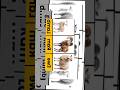 Basic English Vocabulary | Animal Names &amp;  Words ‎⁨@JustaFanofJimmy⁩  ‎⁨@LearnEnglishWithTVSeries⁩ 