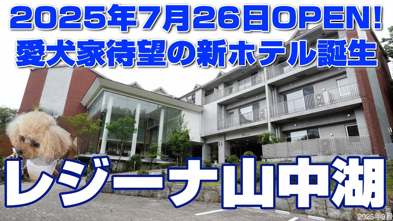 【レジーナ山中湖🐶愛犬家待望の新リゾートホテル誕生！】レジーナ初の本格イタリアンを堪能できます😋天然温泉のドッグスパやドッグプールも❤️