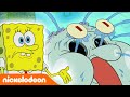 Bob Esponja | Las aventuras de Patrick y Bob Esponja | España | Nickelodeon en Español