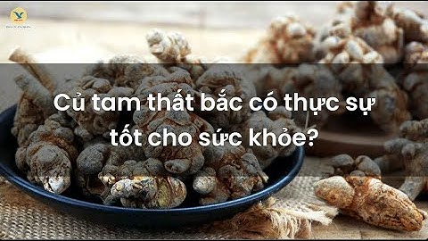 Củ tam thất bắc có thực sự tốt cho sức khỏe?