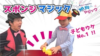 子どもウケ最高！スポンジボールマジック【マジック タネ明かし109】プロマジシャンが教える 簡単マジック！(2021年最新)