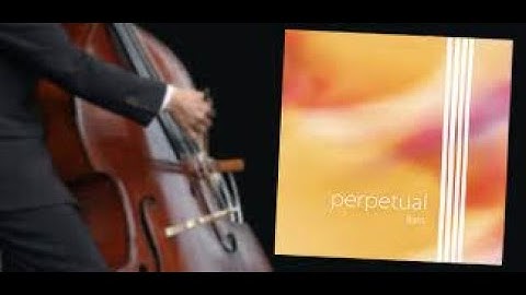 BRAVO MUSIC : Review Double Bass String Pirastro Perpetual 2019