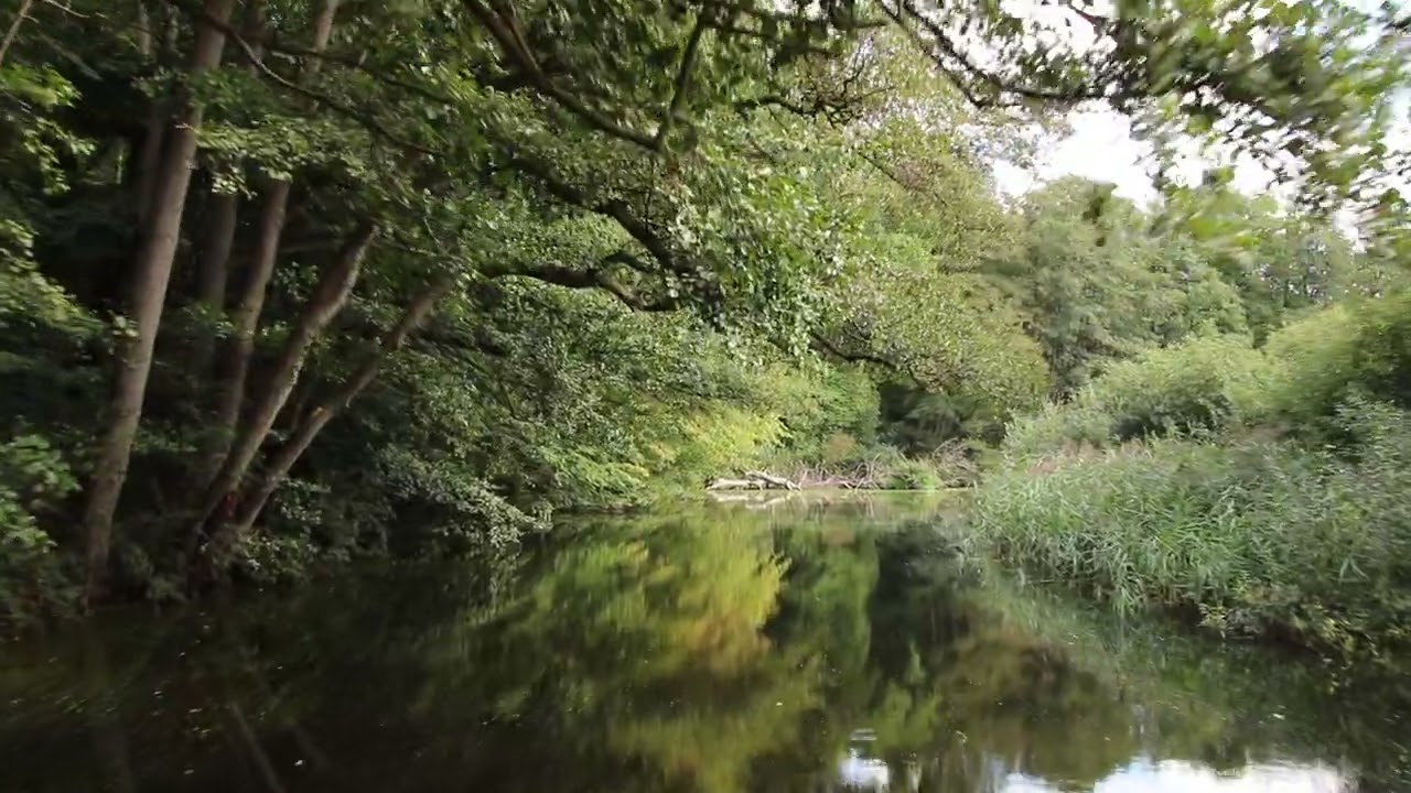 Schwentinetalfahrt - 2/4