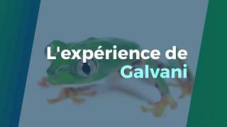 L'expérience de Galvani Resimi