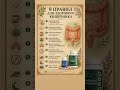Артикулы в описании