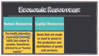 Economics-Circular Flow Model Net Worth