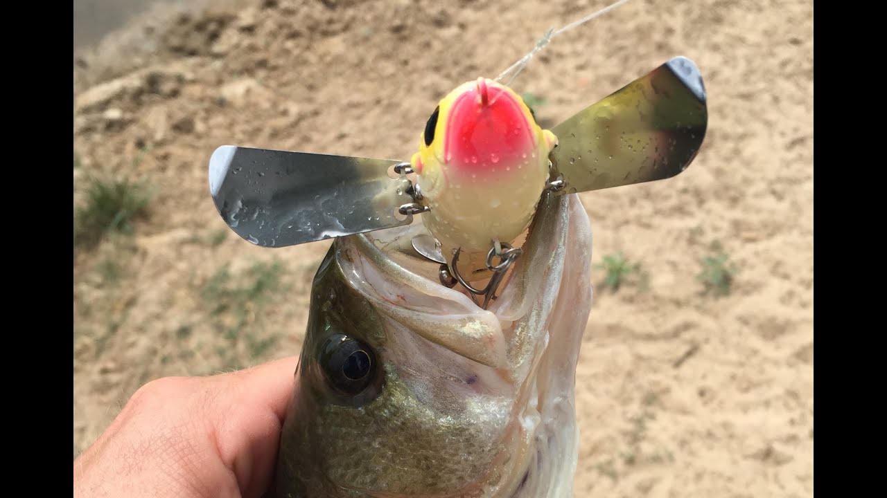 Topwater turbulence: Noisy plugs are exciting fish catchers